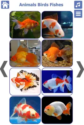 Animals Birds Fishes android App screenshot 1