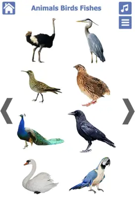 Animals Birds Fishes android App screenshot 3